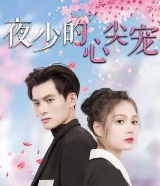 夜少的心尖宠海报