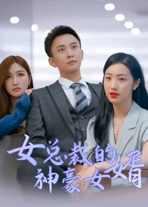 女总裁的神豪女婿海报