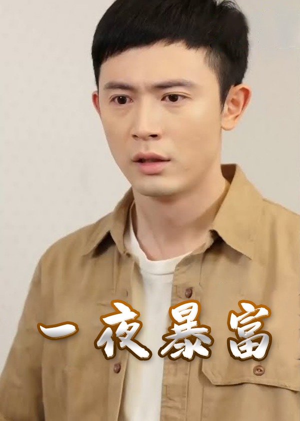 一夜暴富海报