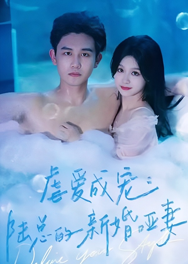 虐爱成宠：陆总的新婚哑妻海报