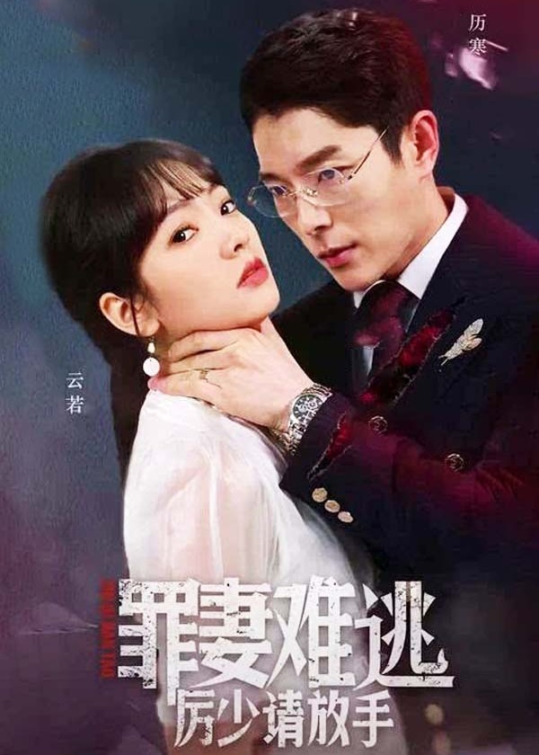 罪妻难逃【1-21合集】海报