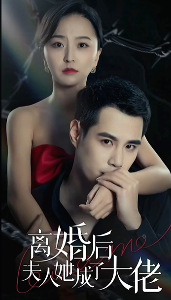 离婚后夫人她成了大佬海报