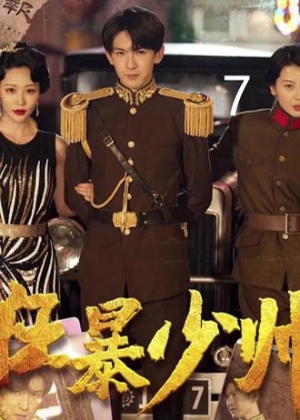 狂暴少帅海报