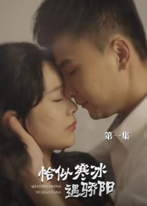 龙爸无双海报