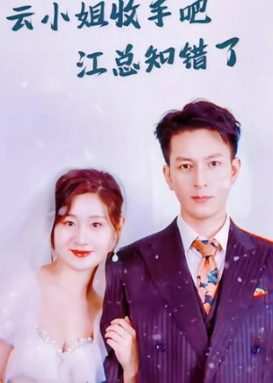 云小姐收手吧江总知错了海报