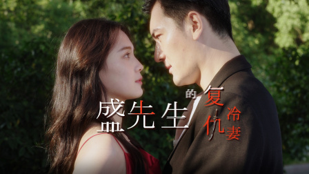 盛先生的复仇冷妻海报