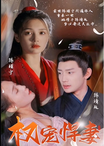 权宠悍妻海报