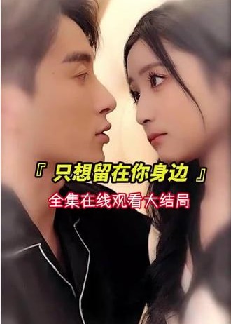 只想留在你身边海报