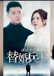 冰山总裁的替婚兵王海报
