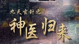 九天玄针之神医归来海报
