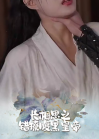 长相思之错撩腹黑皇帝海报