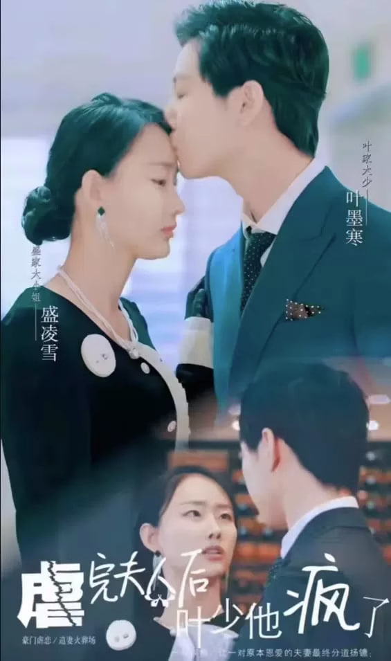 虐完夫人后叶少他疯了海报