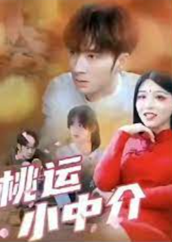 桃运小中介海报