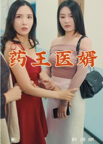 药王医婿海报