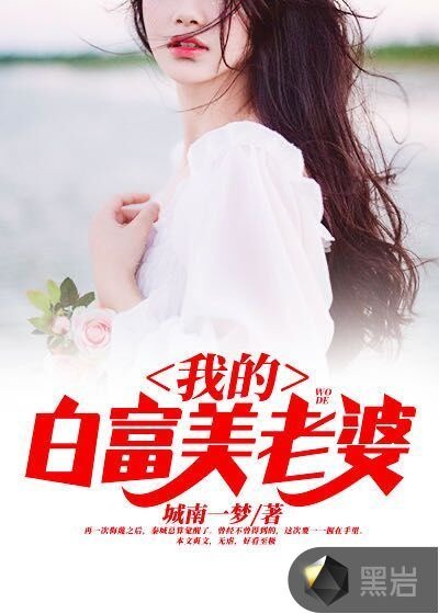 我的白富美老婆海报