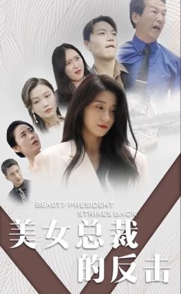 美女总裁的反击海报