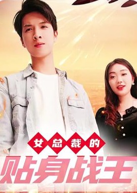 女总裁的贴身战王海报