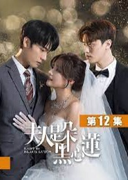 夫人是朵黑心莲海报