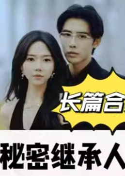 秘密继承人海报
