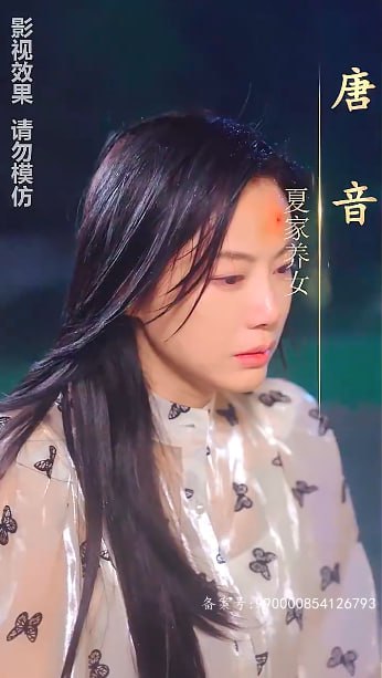 沈总别虐了，夫人她没了海报