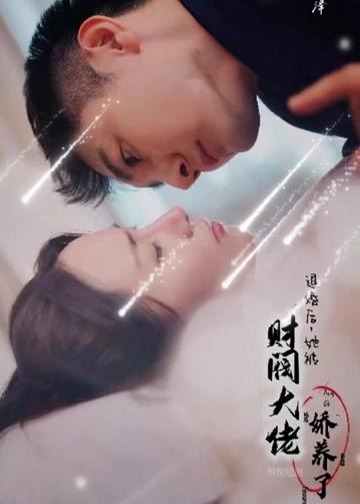 退婚后，她被财阀大佬娇养了海报