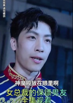 女总裁的保镖男友海报