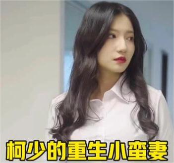 柯少的重生小蛮妻【1-100合集】海报