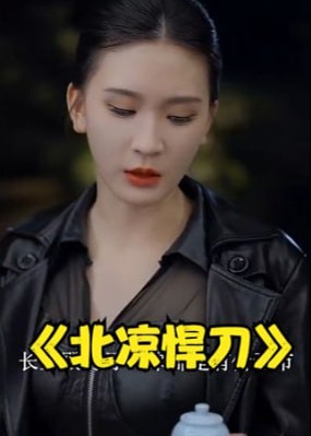 北凉悍刀【1-80合集】海报