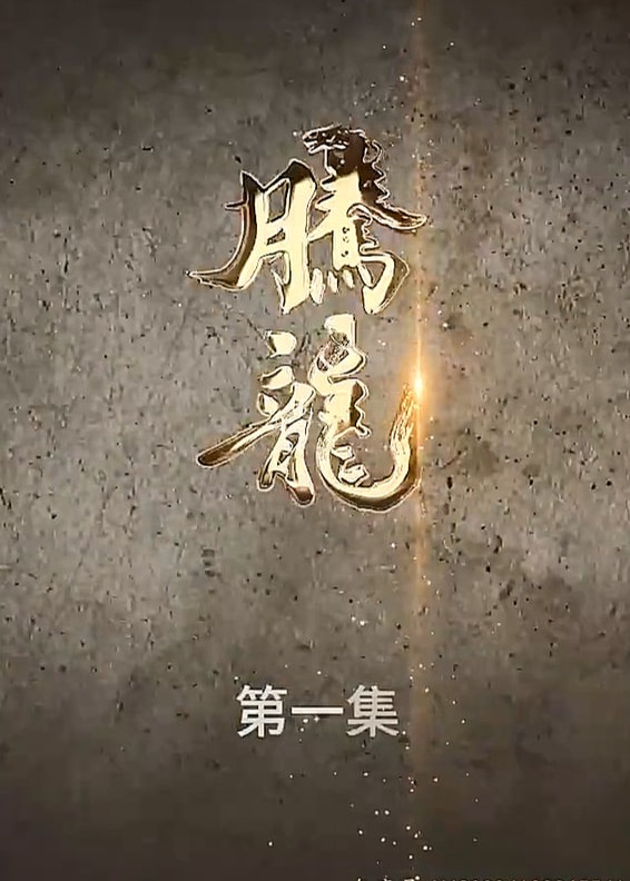 腾龙【1-92合集】海报