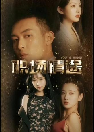 职场情途【1-99合集】海报