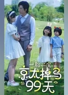 一胎二宝京太掉马99天【1-84合集】海报