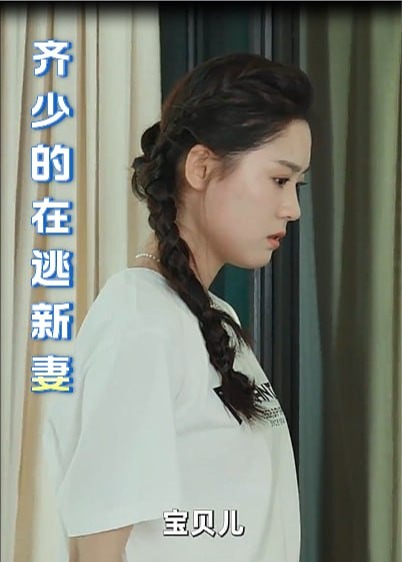 齐少的在逃新妻【1-90合集】海报