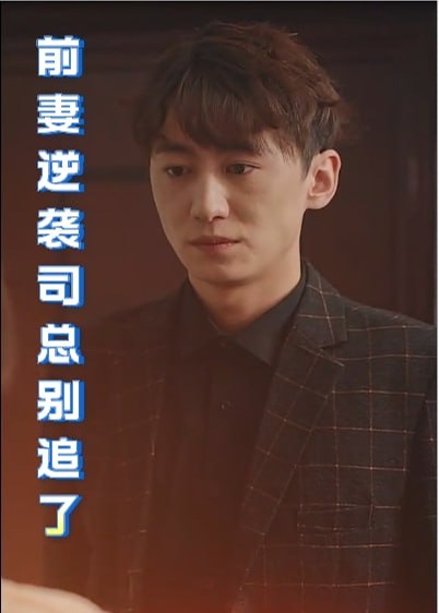 前妻逆袭司总别追了【1-30合集】海报