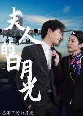 夫人的白月光【1-30合集】海报