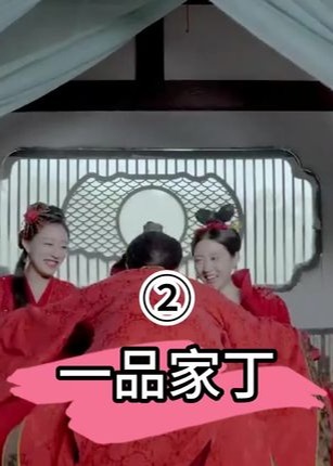 一品家丁【1-21合集】海报