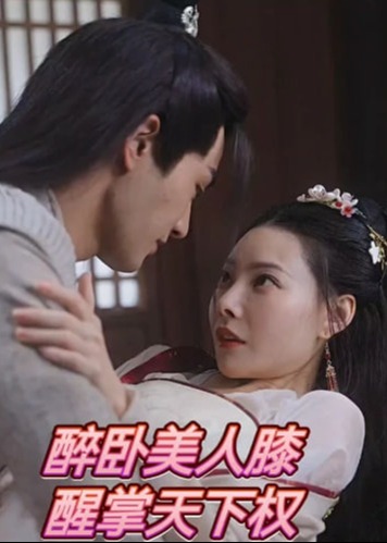 醉卧美人膝醒掌天下权【1-100合集】海报