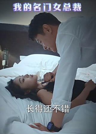 我的名门女总裁海报