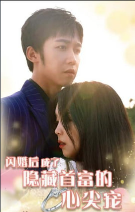 闪婚后成了隐藏首富的心尖宠海报