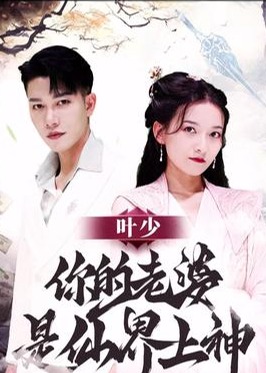 叶少你的老婆是仙界上神海报
