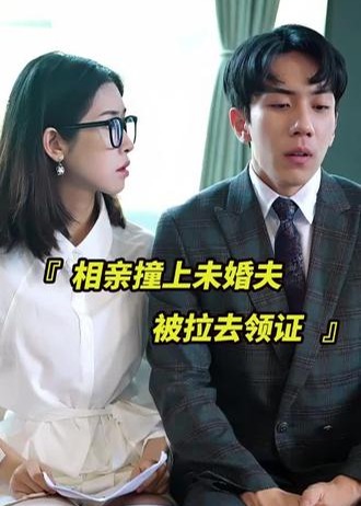 相亲撞上未婚夫被拉去领证海报