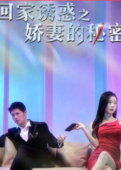 回家诱惑之娇妻的秘密海报