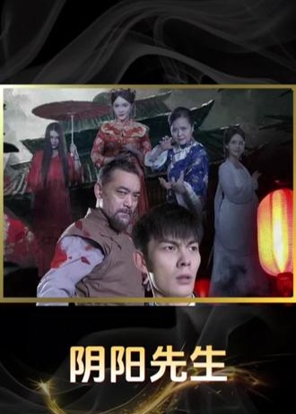 阴阳先生海报