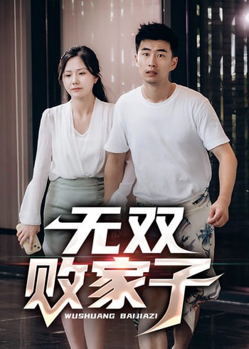 无双败家子海报