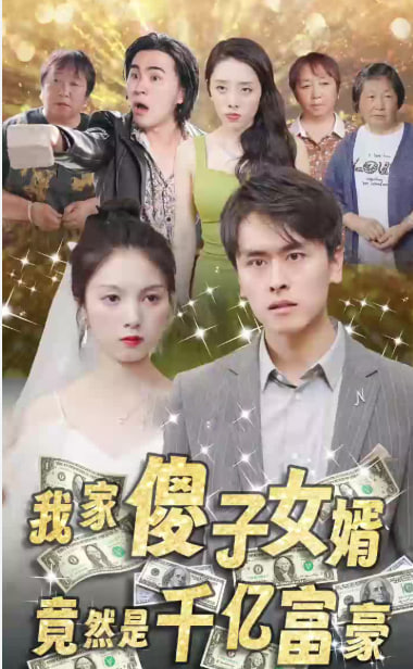 我的傻子女婿是千亿富豪海报