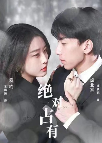 绝对占有海报