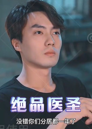 绝品医圣海报