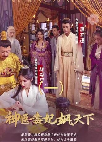 神医毒妃飒天下海报
