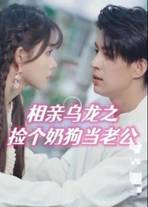 相亲乌龙之捡个奶狗当老公海报