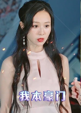 我本豪门海报