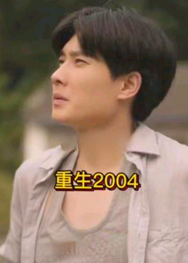 重生2004海报